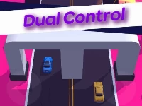 Dual control 3d