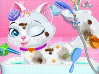 Pet vet care wash feed animals - animal doctor fun