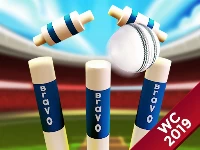 Cricket world cup game 2019 mini ground cricke