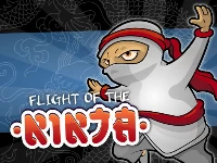 Flight of the ninja