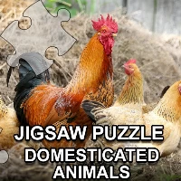 Jigsaw puzzle domesticated animals