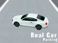 Real car parking 3d