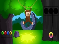 Funny monkey forest escape