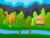 Rescue the hungry camel