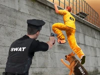 Prison survive break escape