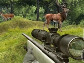 Sniper hunting deadly animal