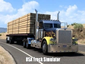 Usa truck simulator 2024