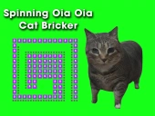 Spinning oia oia cat bricker