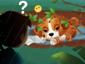 Lost puppy rescue and care