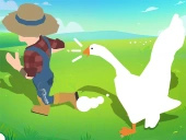 Crazy goose simulator