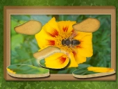 Find & restore: hidden puzzle