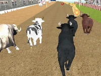 Bull racing