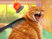 Brush cat challenge