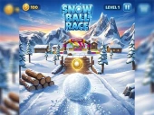 Snow ball race