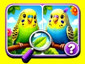 Budgie spot the difference