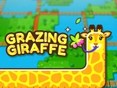 Grazing giraffe