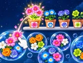 Pop flower