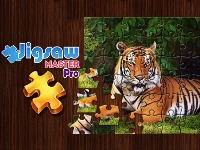 Jigsaw master pro